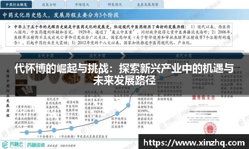 代怀博的崛起与挑战：探索新兴产业中的机遇与未来发展路径